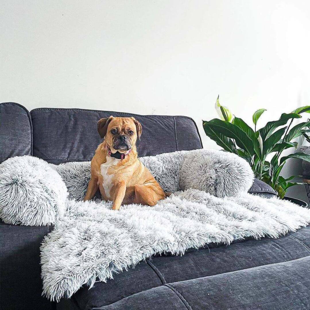 HappyPawLand - Couch Cover for Dogs and Cats