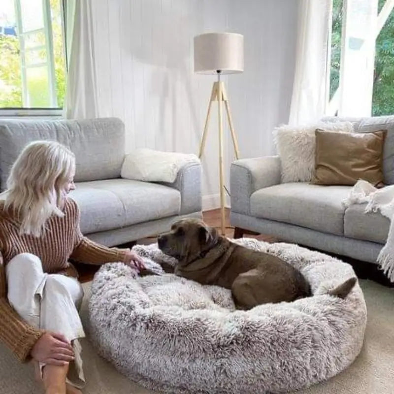 HappyPawLand - Anxiety Relieving Dog Bed