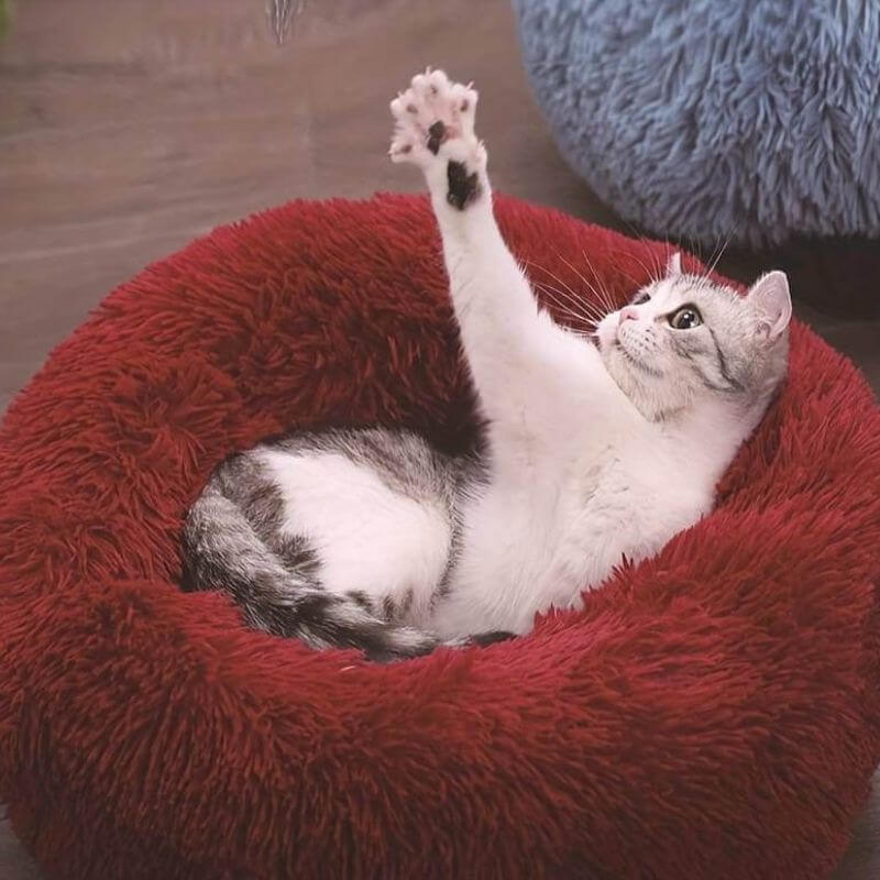 HappyPawLand - Anxiety Relieving Cat Bed