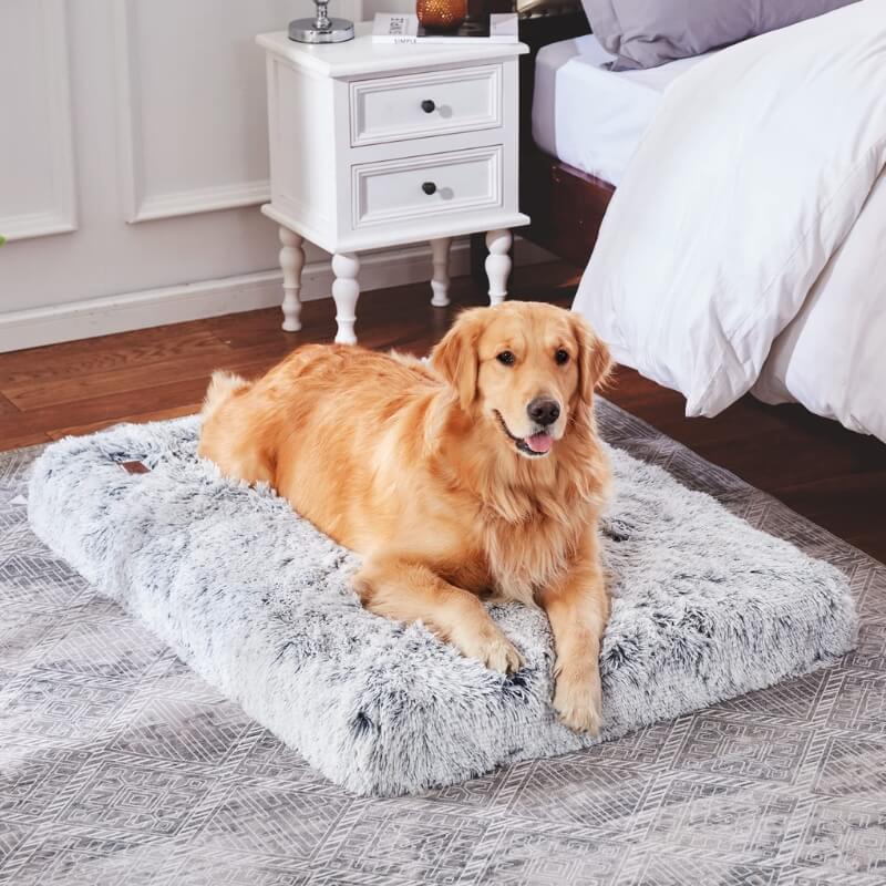 HappyPawLand - Orthopedic Pillow