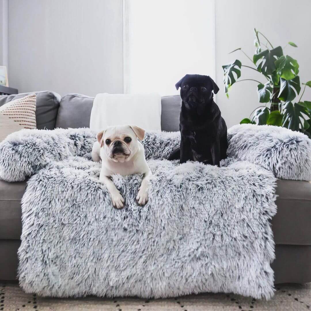 HappyPawLand - Couch Cover for Dogs and Cats