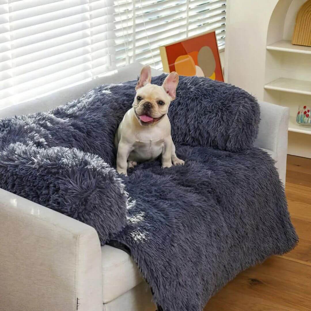 HappyPawLand - Couch Cover for Dogs and Cats