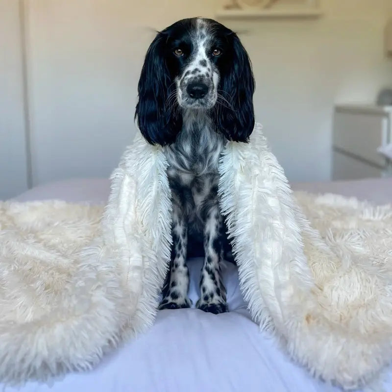 HappyPawLand - Anxiety Relieving Paw Pet Blanket