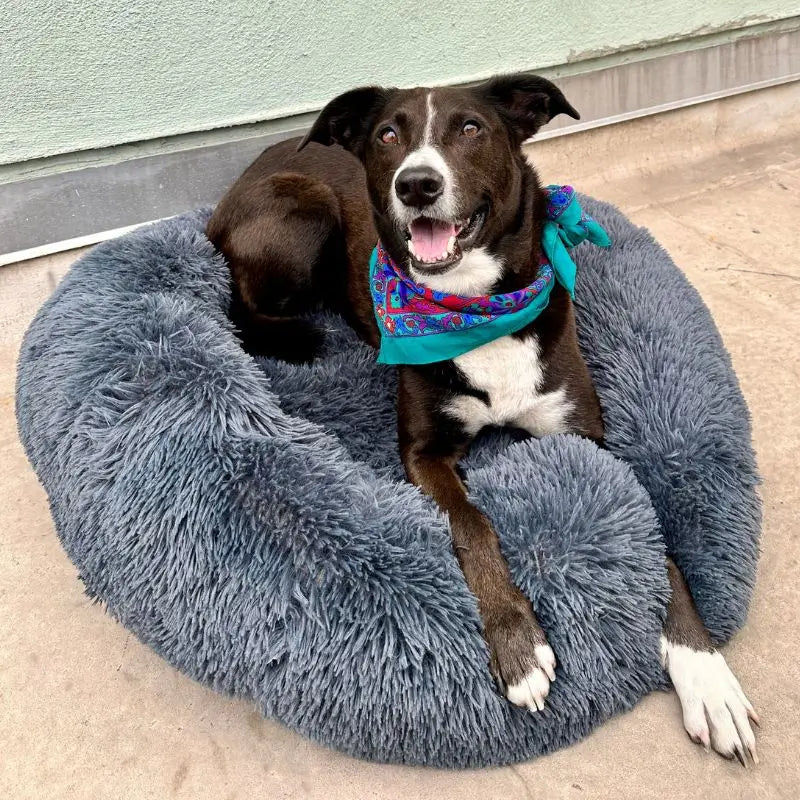 HappyPawLand - Anxiety Relieving Dog Bed
