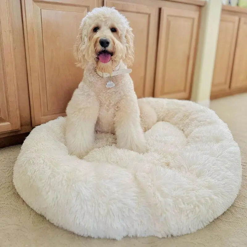 HappyPawLand - Anxiety Relieving Dog Bed