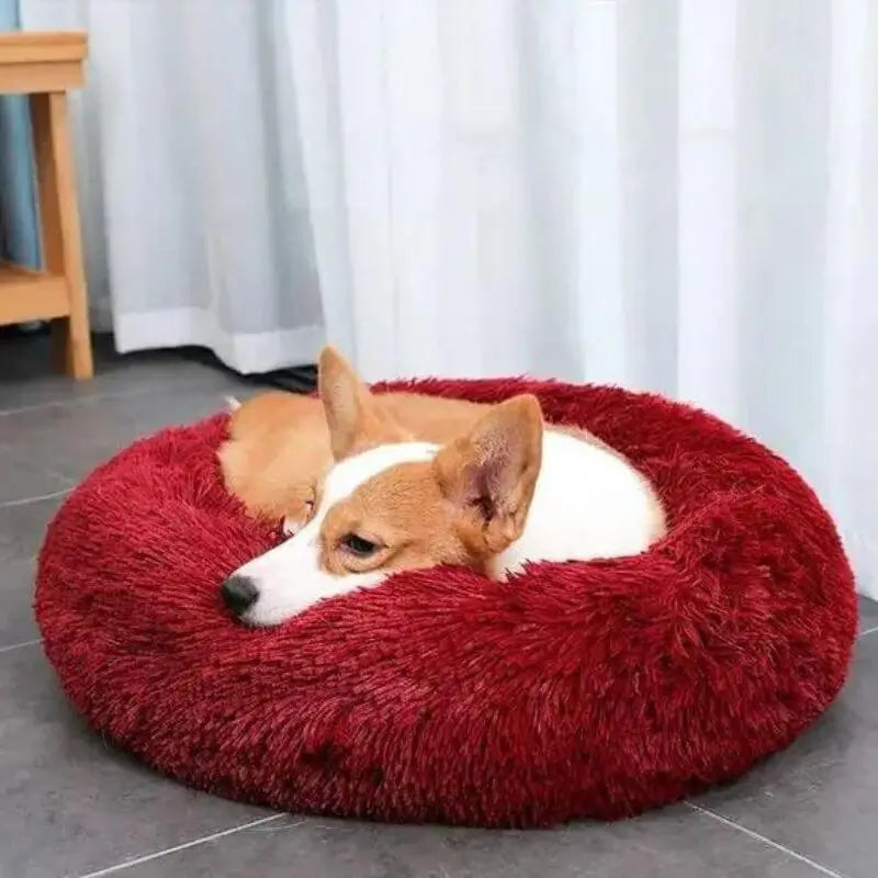 HappyPawLand - Anxiety Relieving Dog Bed